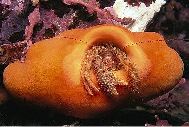 每周特惠限时来袭，《底特律：变人》四折优惠！