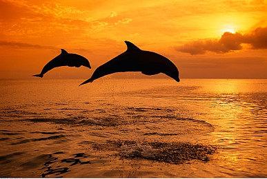 《孤岛惊魂6》PC版存在严重的CPU单线程问题