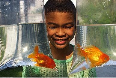 《六星门：星迹》登陆Steam 美少女音乐节奏